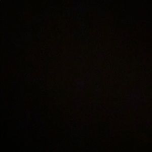 Meet your Posher, Owen